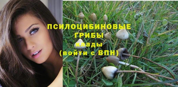 apvp Киренск