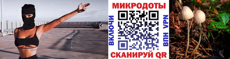 Псилоцибиновые грибы Psilocybe  Купить где  Гаджиево 