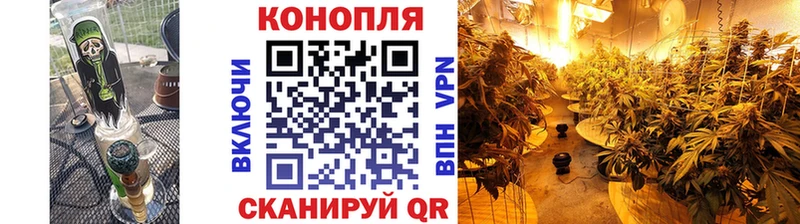 Купить  Гаджиево  Канабис конопля 